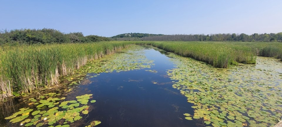 USED 2024-07-28-0043-wye-marsh