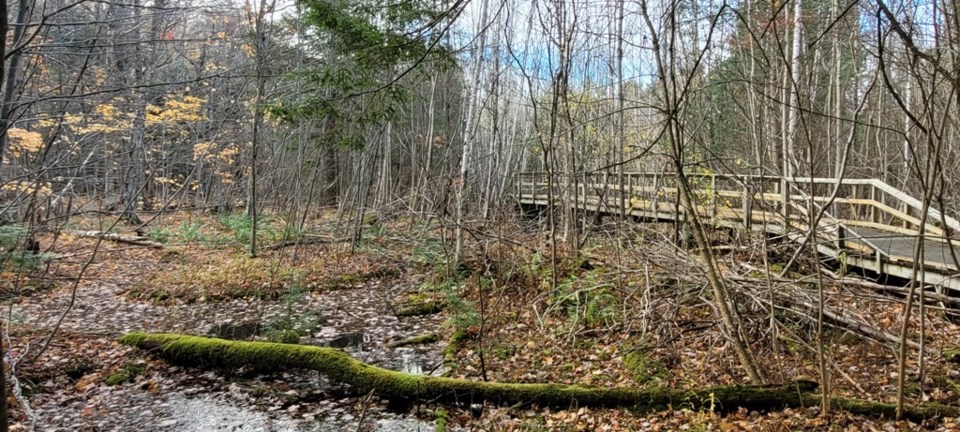 USED 2024-11-02-0010-awenda-pp-beaver-pond-trail