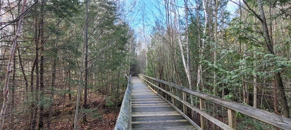 USED 2024-11-02-0011-awenda-pp-beaver-pond-trail