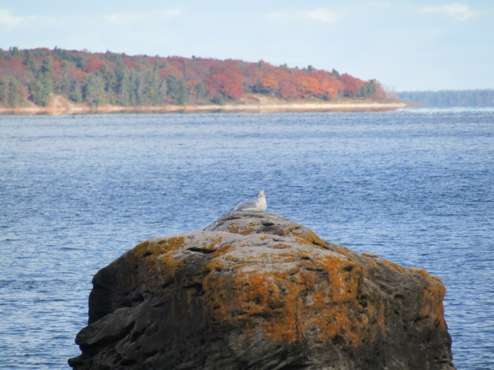 USED 2024-11-02-0019-awenda-pp-beach-trail