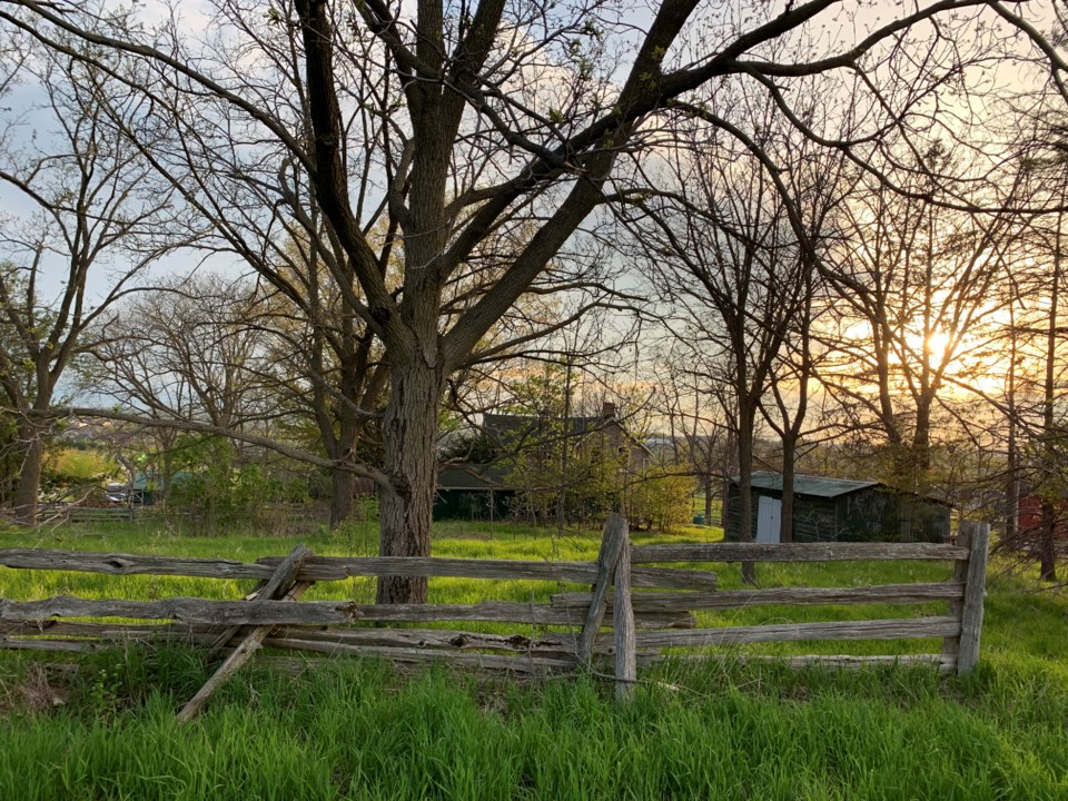 USED 2019 05 25 old farm fence DK