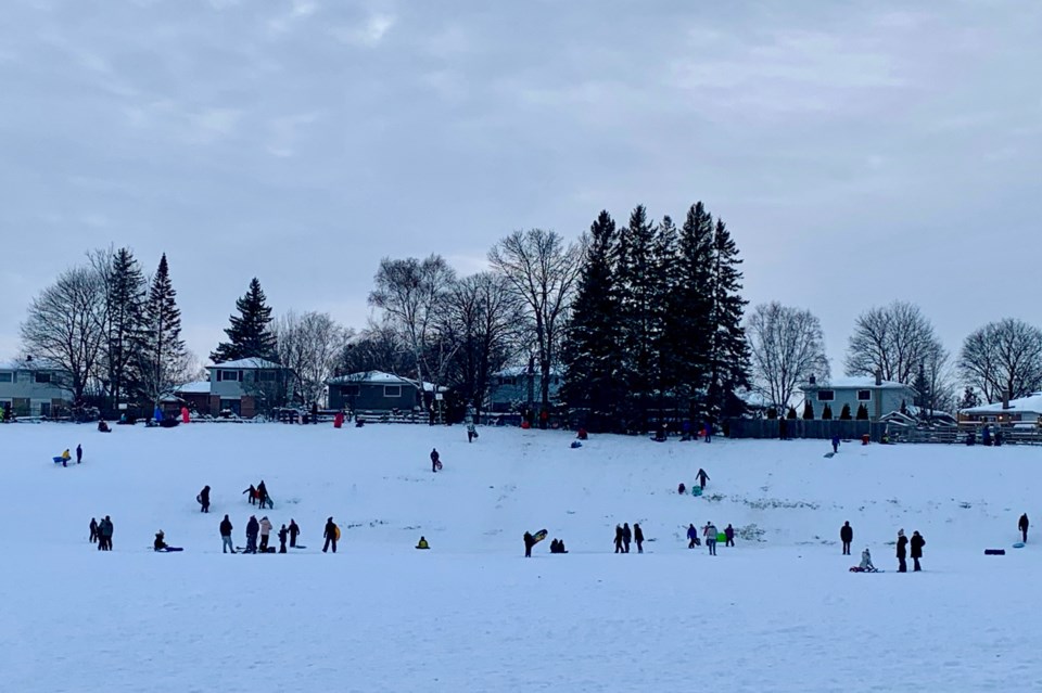 USED 2021 01 03 busy sledding Dennis Park DK