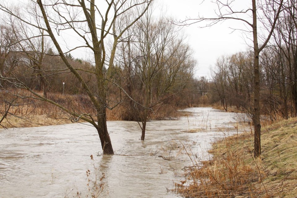 USED 2021 03 27 flooded Holland River