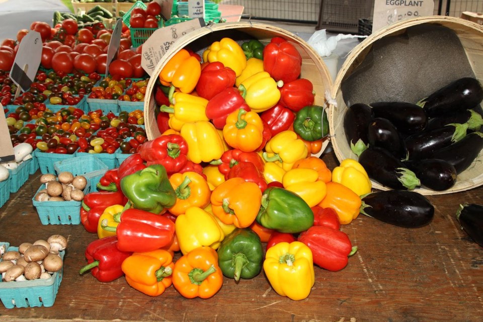 USED 2021 08 10 colourful peppers Willow Tree Farm GK