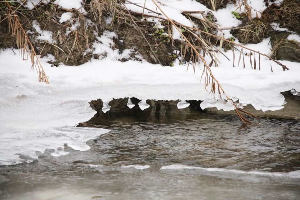 USED 2022 01 29 ice along Holland River