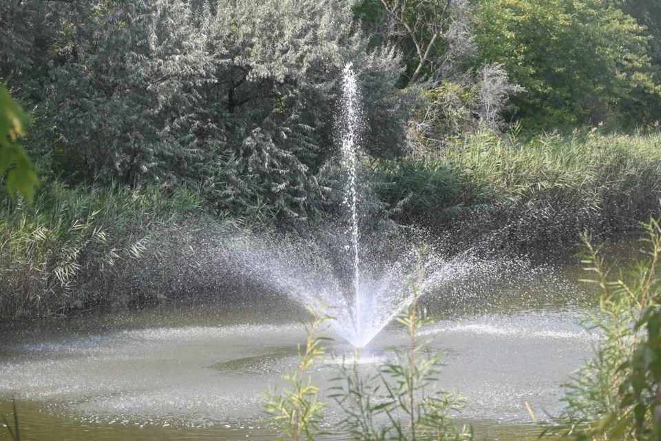 USED 20240923-fountain-jq-1