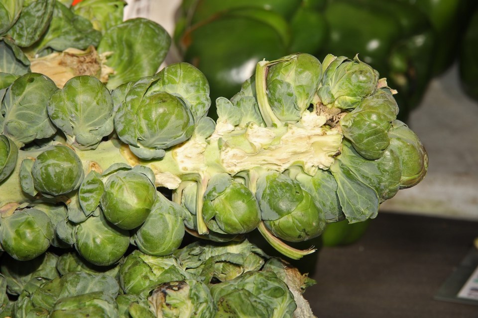 USED 20241028-brussel-sprouts-gk