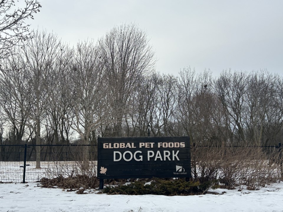 USED 20250127-dogpark-lm