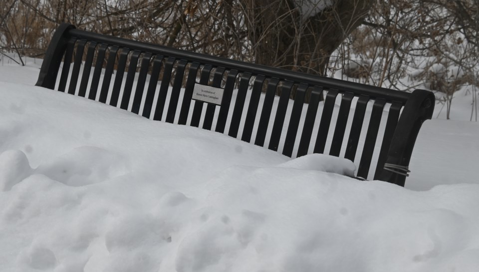 USED 20250127-snow-covered-bench-jq