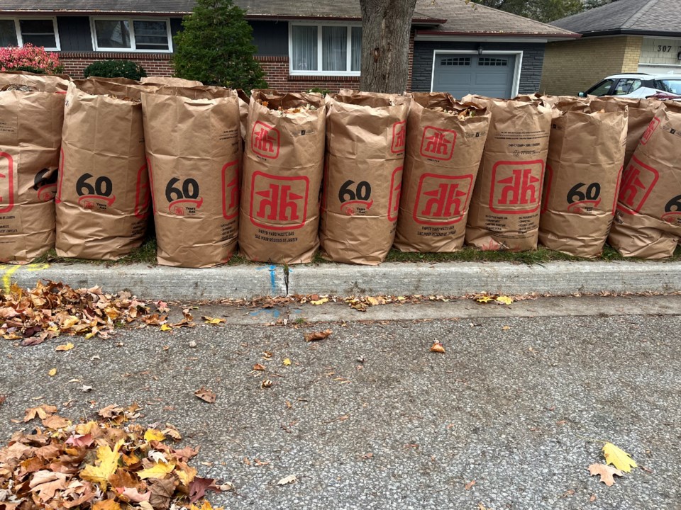 USED 20241111-bags-of-leaves-dk