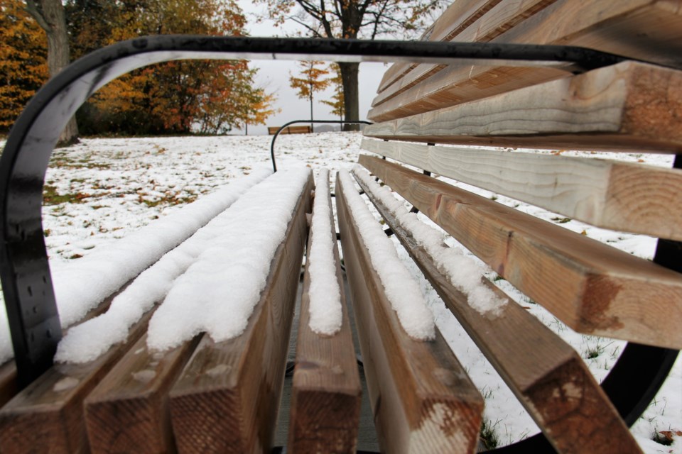 USED2018-11-15goodmorning  3 Bench in the park. Photo by Brenda Turl for BayToday.