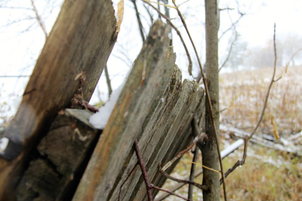 USED 2019-01-10goodmorning  2 Old fence in winter. Photo by Brenda Turl for BayToday.