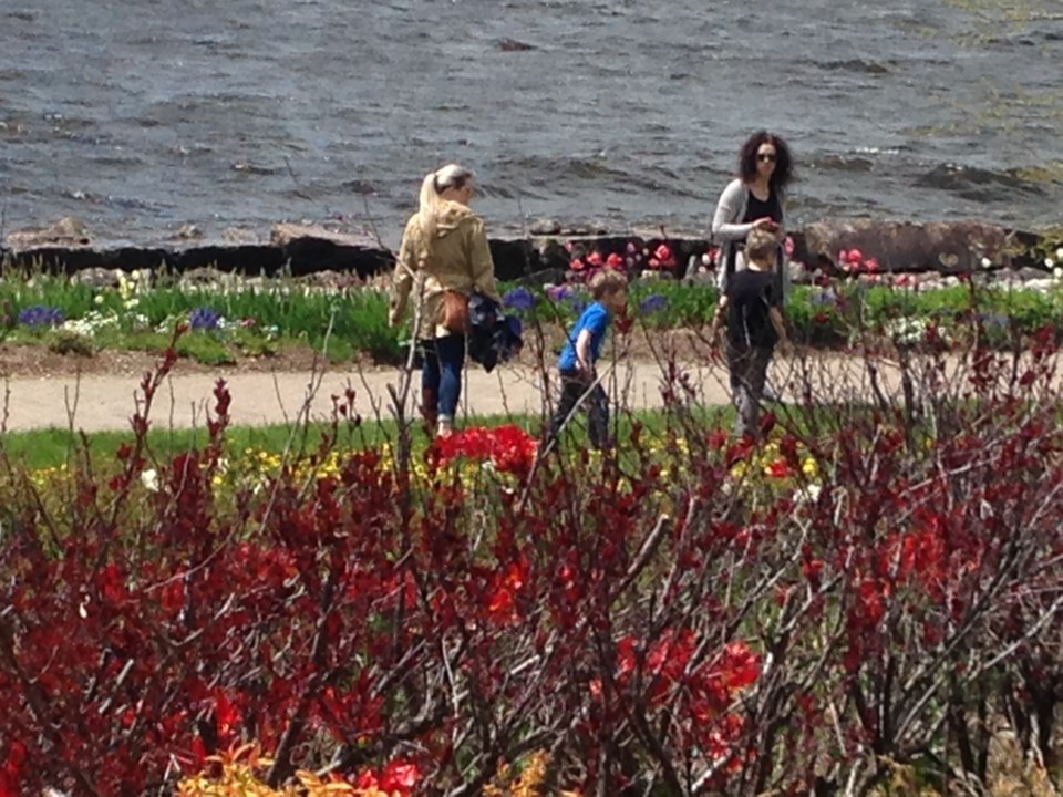 USED 2019-06-5goodmorning  7 Enjoying the  waterfront on a sunny day. Photo by Brenda Turl for BayToday.