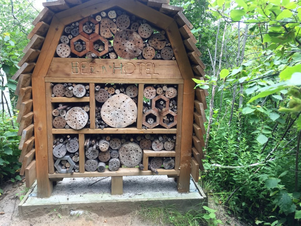 USED 2019-08-29goodmorningnorthbaybct  6 Bee Hotel in Laurier Woods. Photo by Brenda Turl for BayToday.