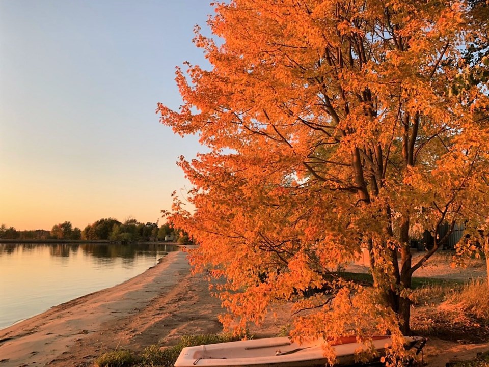 USED 2019-10-17goodmorningnorthbaybct  2 Golden Hour. Photo by Brenda Turl for BayToday.