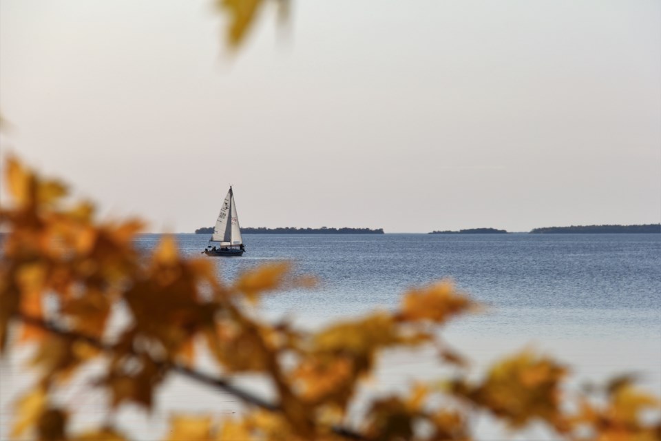 USED 2019-10-31goodmorningnorthbaybct  1 Sailing on a calm Fall day. Photo by Brenda Turl for BayToday.