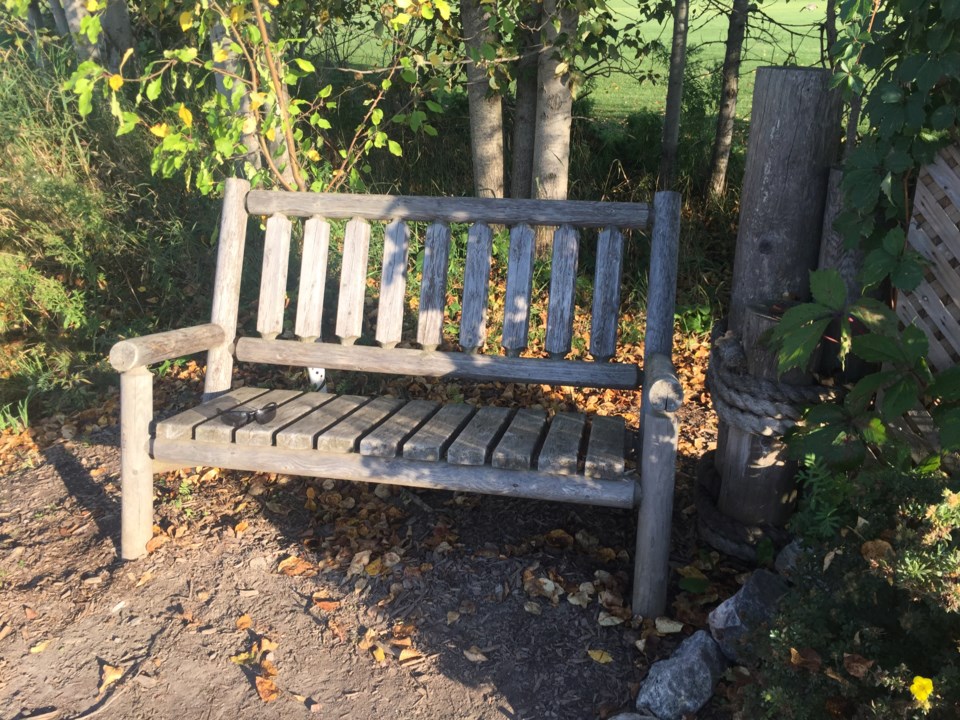 USED 2019-10-31goodmorningnorthbaybct  2 Bench near Osprey. Photo by Brenda Turl for BayToday.