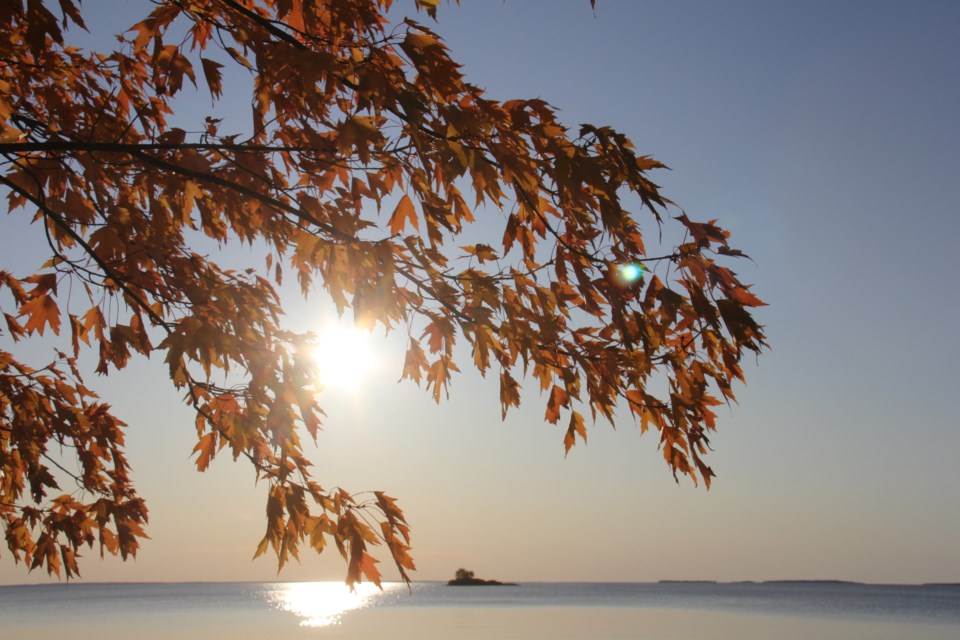 USED 2019-10-31goodmorningnorthbaybct  6 Sunset through the leaves. Photo by Brenda Turl for BayToday.