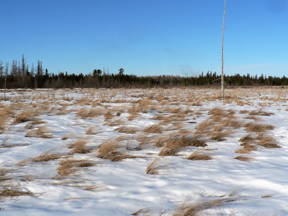 USED 2020-1-23goodmorningnorthbaybct  6 The way the wind blows. North Bay.  Photo by Brenda Turl for BayToday.