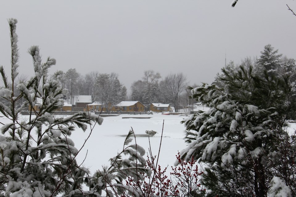 USED 2020-1-30goodmorningnorthbaybct  7 All quiet for the winter. North Bay. Photo by Brenda Turl for BayToday.