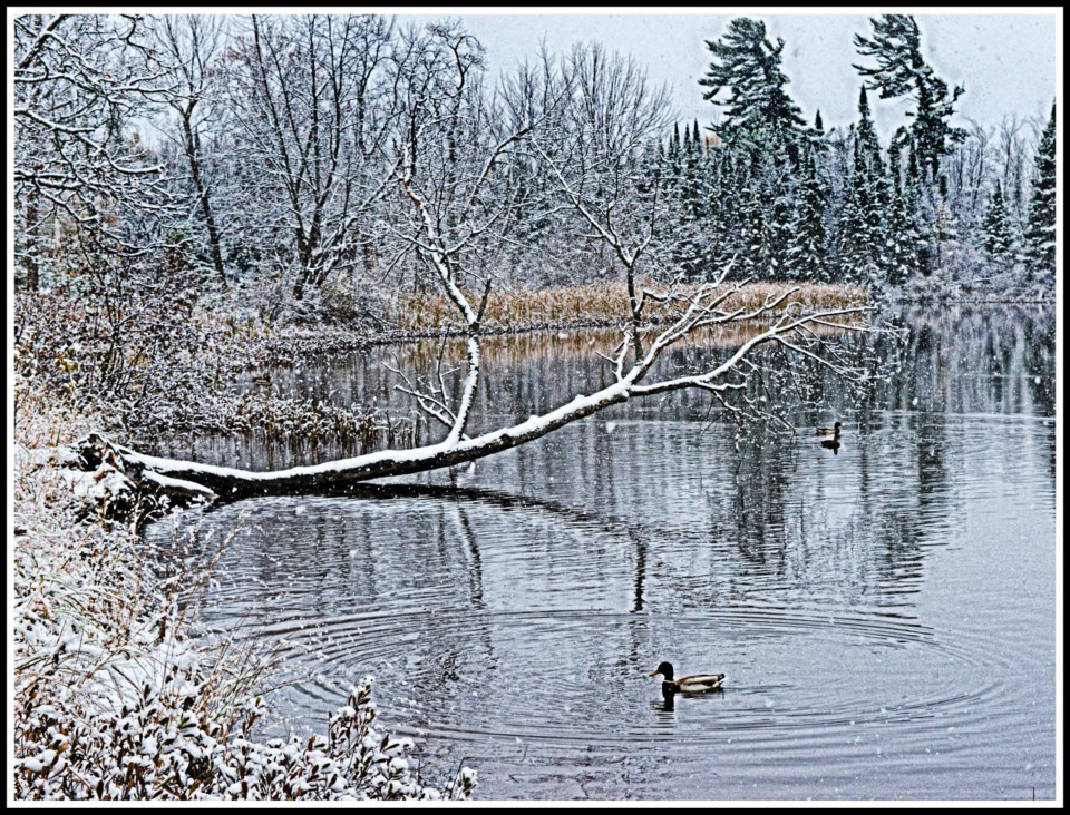 USED 2021-11-30goodmorningnorthbaybct  3 First snowfall at Champlain Park. North Bay. Courtesy of Zeke Johnson.