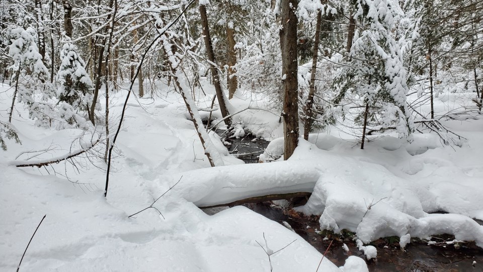 USED 2021-2-2g15oodmorningnorthbaybct  2 At Canadore Trails. North Bay. Courtesy of Neil Brown.