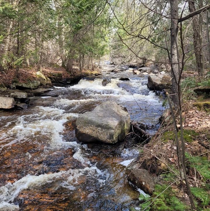 USED 2021-5-17goodmorningnorthbaybct  3 Chippewa Creek. NOrth Bay. Courtesy of Michelle Wozniak Mantey.