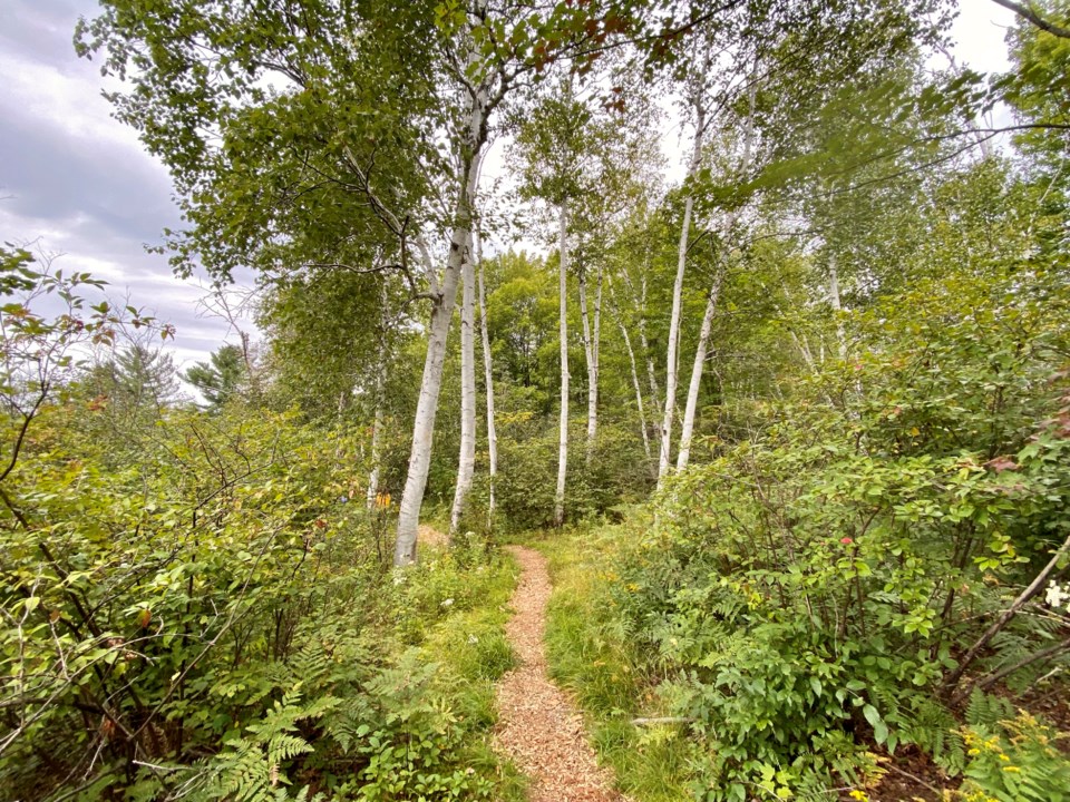 USED 2021-9-28goodmorningnorthbaybct  4 Along the path at Laurier Woods. North Bay. Photo by Brenda Turl for BayToday.