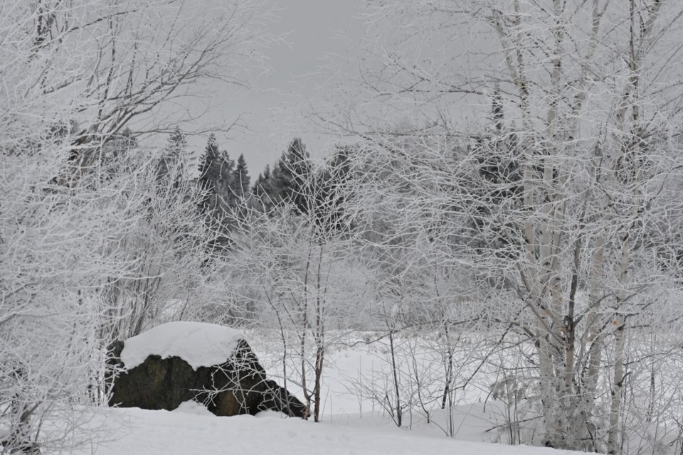 USED 2022-01-25goodmorningnorthbaybct  3 Hoar frost along the La Vase River. North Bay. Courtesy of Joanne Gravel.