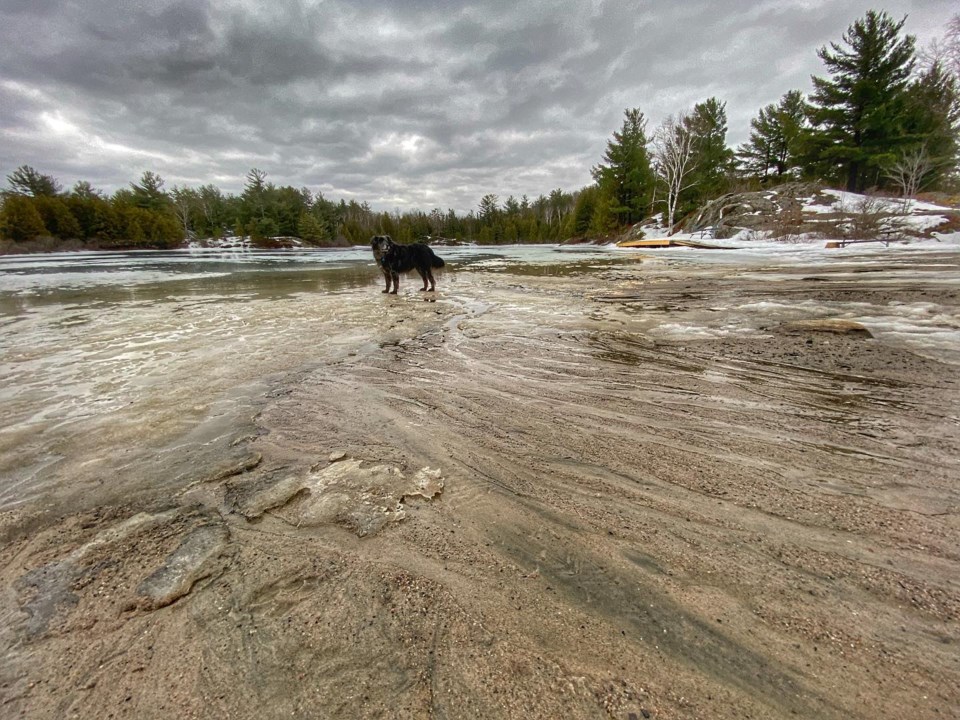 USED 2022-04-5goodmorningnorthbaybct  3 The Cove. Trout Lake. North bay. Courtesy of Diane Jones Falconi.