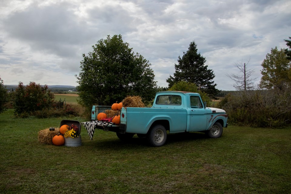 USED 2022-10-18goodmorningnorthbaybct-4-pumkin-display-powassan-courtesy-of-pat-satck