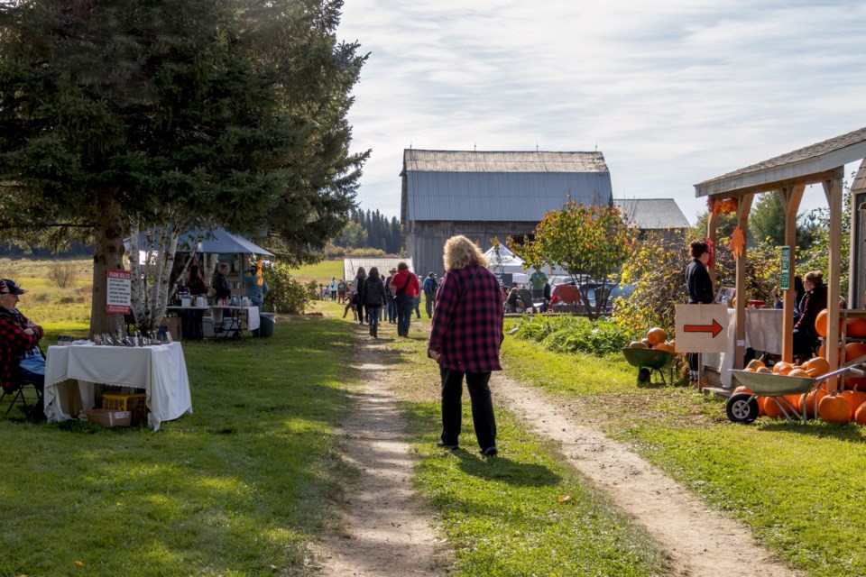 USED 2024-10-22goodmorningnorthbaybct-1-adagio-farm-powassan-pumpkin-fair-powassan-pat-stack