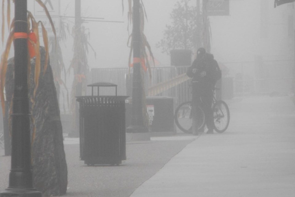 USED 2024-10-8goodmorningnorthbaybct-1-bicycling-downtown-in-the-fog-north-bay-garrett-campbell