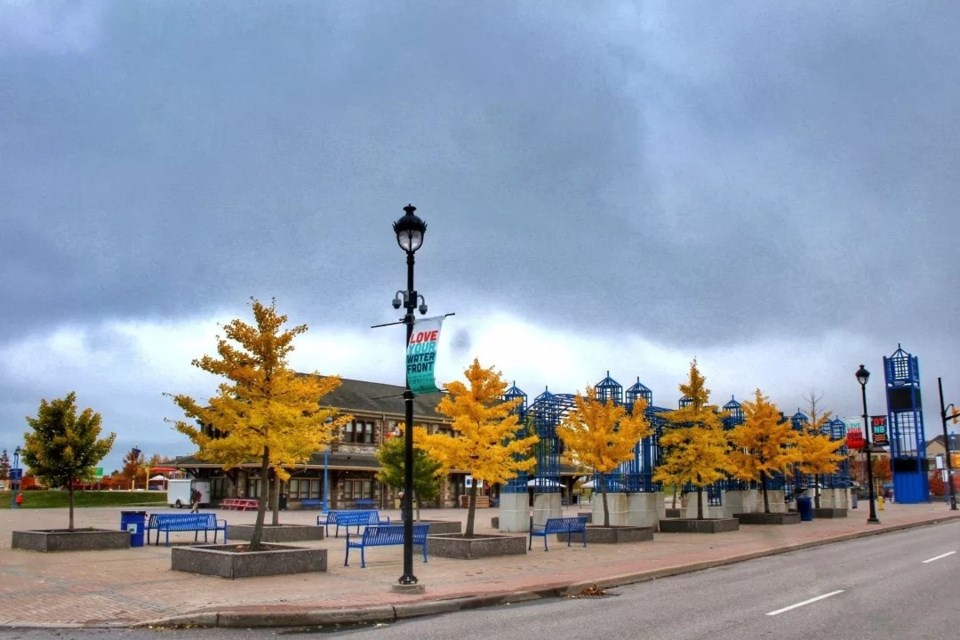 USED 2024-11-5goodmorningnorthbaybct-1-yellow-and-blue-on-oak-street-north-bay-garrett-campbell