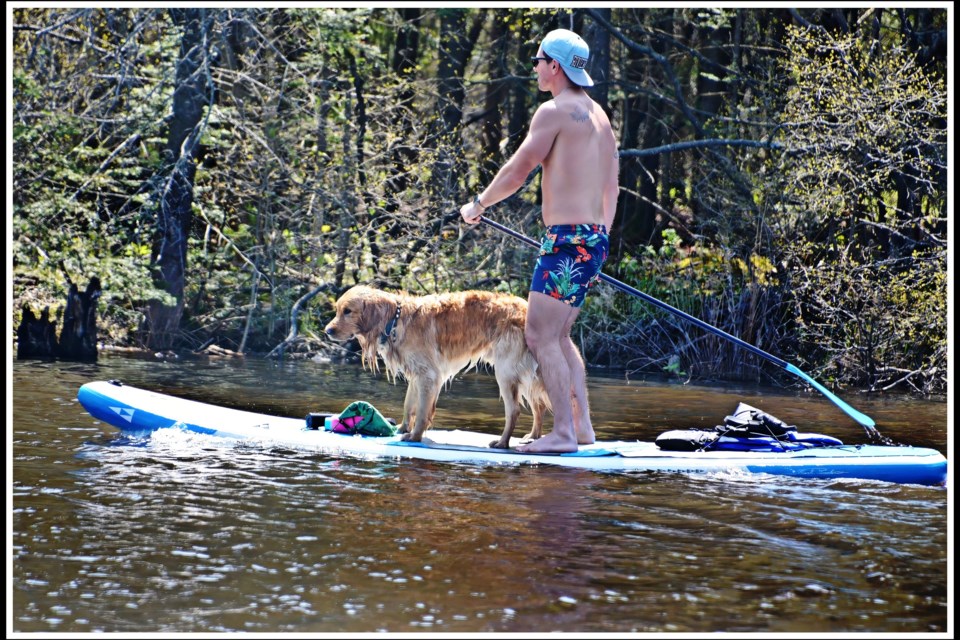 USED 2024-5-28goodmorningnorthbaybct-6-paddling-on-the-lavasse-river-north-bay-zeke-johnson