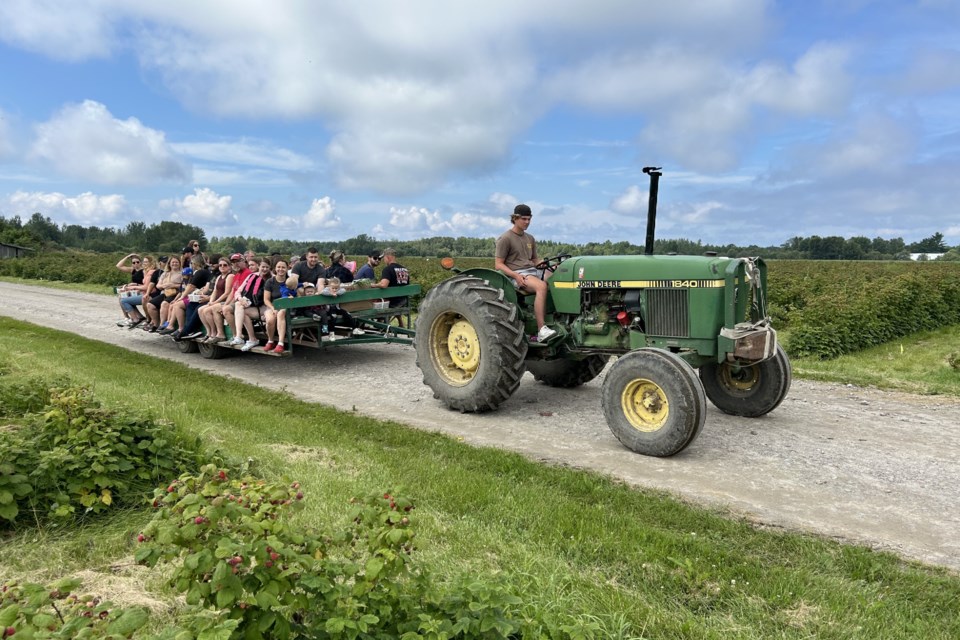 USED 2024-7-30goodmorningnorthbaybct-1-heading-into-the-fields-sturgeon-falls-brenda-turl