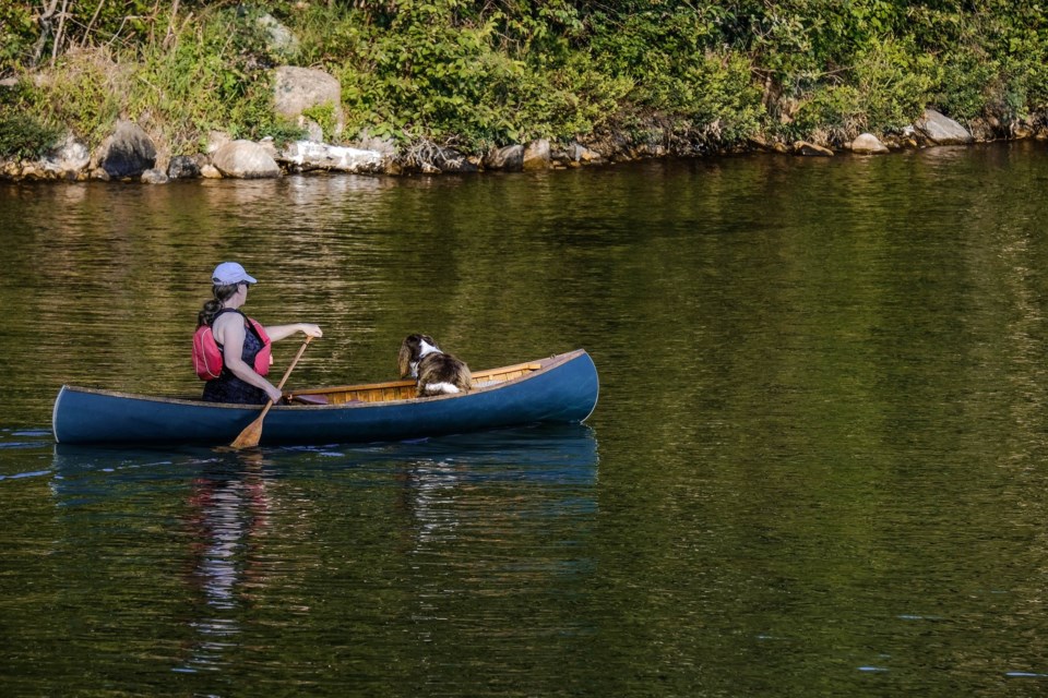 USED 2024-8-6goodmorningnorthbaybct-6-paddlying-with-a-friend-trout-lake-north-bay-linda-mccarthy