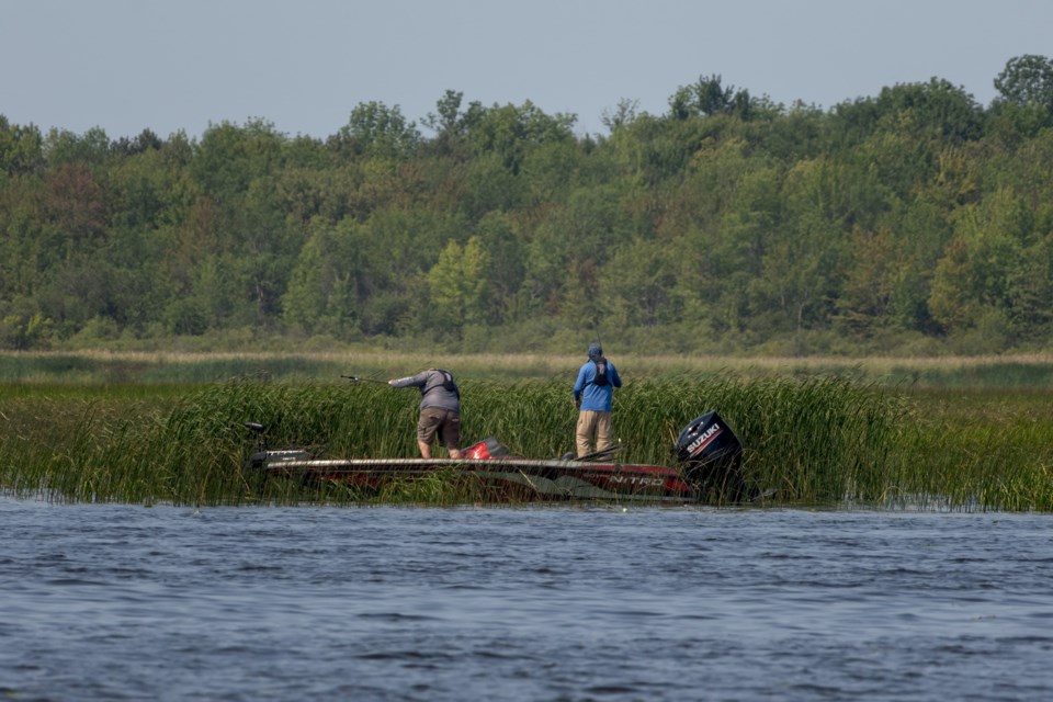 USED2024-9-17goodmorningnorthbaybct-2-fishing-in-the-weeds-cache-bay-pat-stack