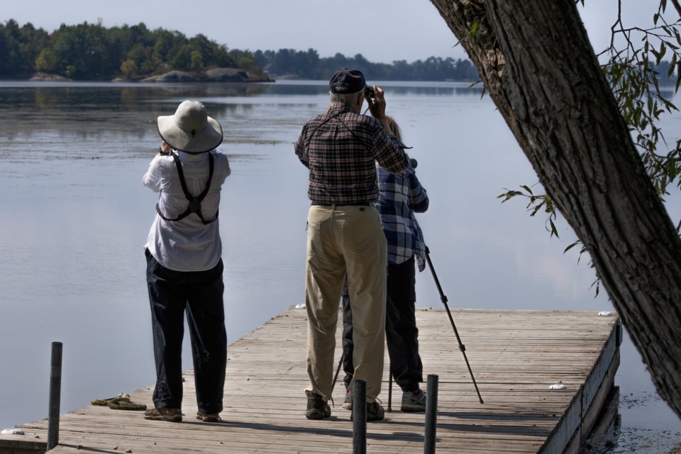 USED 2024-9-3goodmorningnorthbaybct-2-august-bird-count-in-cache-bay-pat-stack