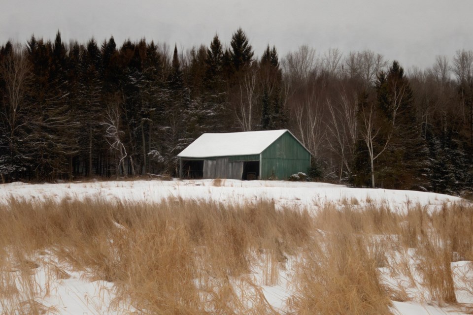 USED 2025-1-7goodmorningnorthbaybct-4-barn-in-powassan-pat-stack