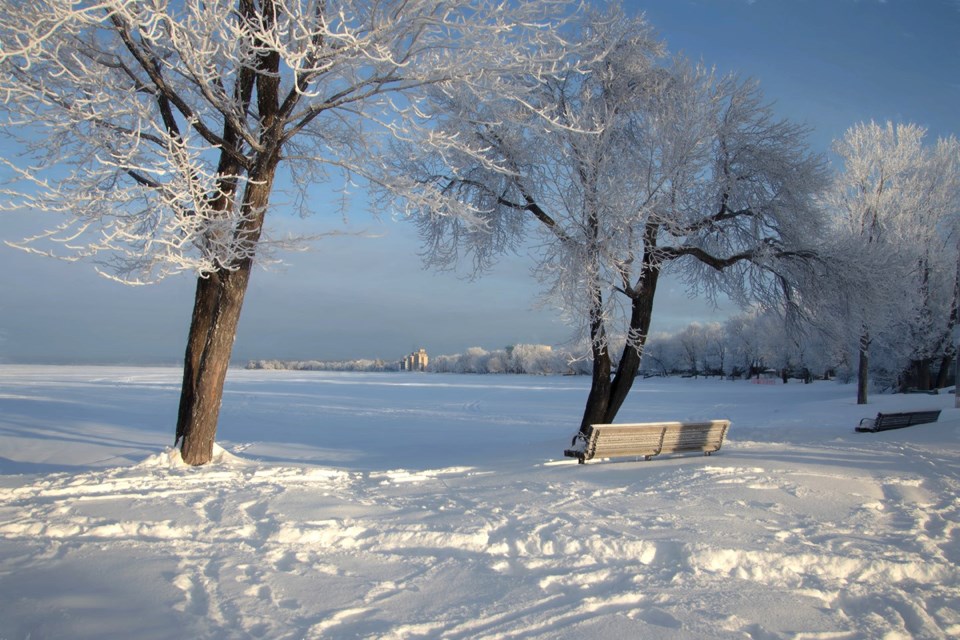 USED 2025-2-25goodmorningnorthbaybct-5-a-view-of-the-shoreline-along-lakeshore-from-sunset-park-north-bay-courtesy-of-pat-stack