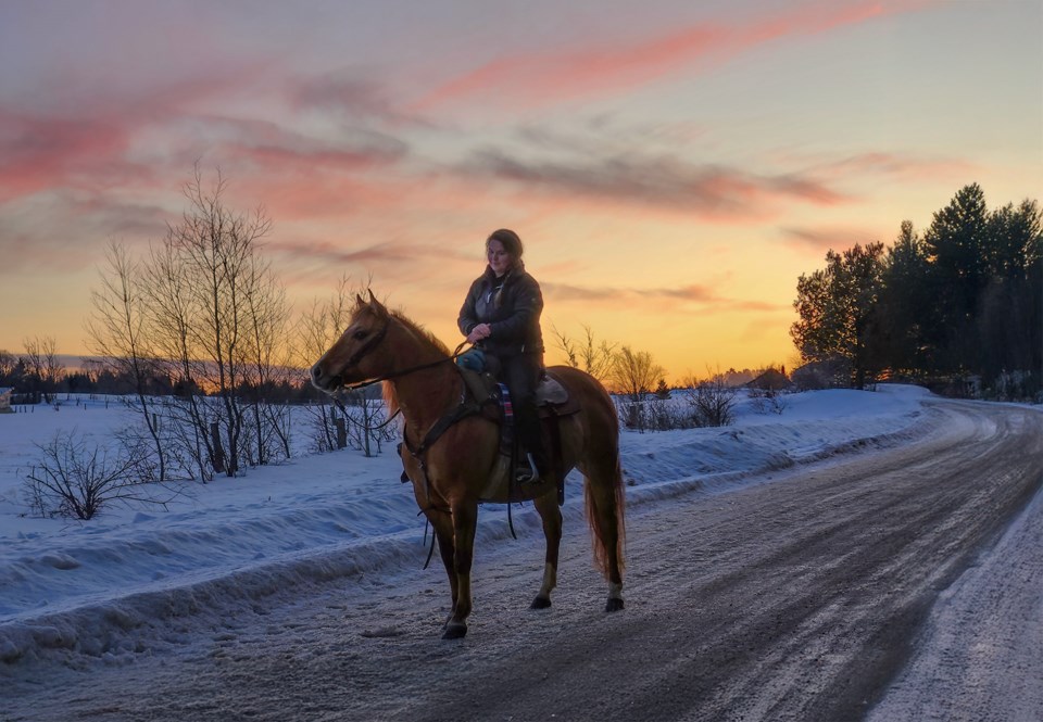 USED 2025-3-4goodmorningnorthbaybct-7-wintry-horse-back-ride-pat-stack