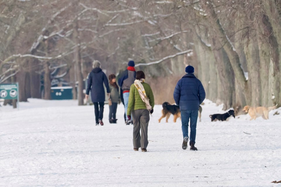 USED good-morning-feb-1-dogwalkers-on-commons