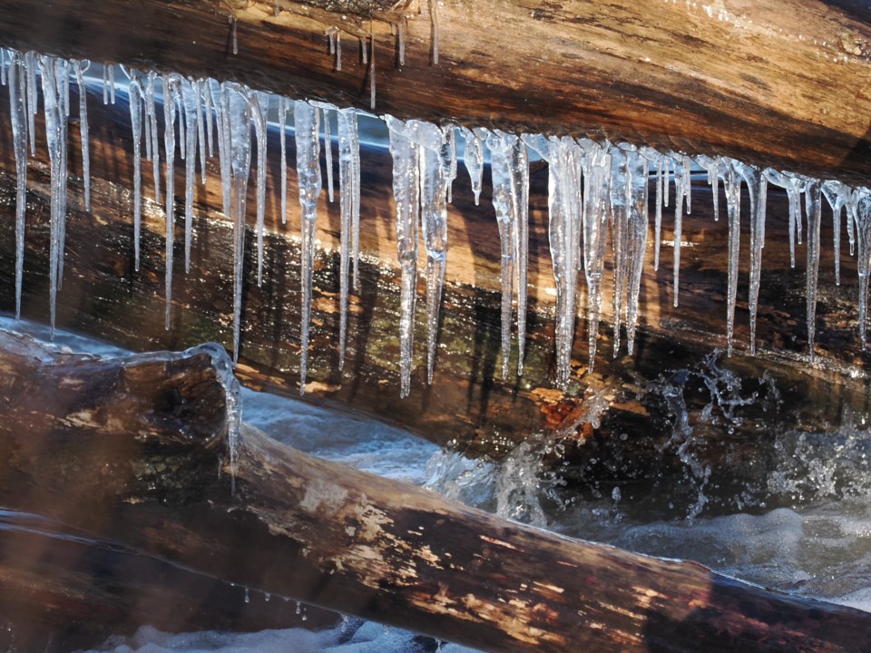 USED good-morning-feb-18-ice-along-the-shoreline-dave