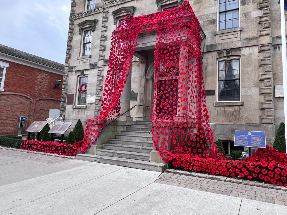 USED good-morning-nov-4-poppies-courthouse