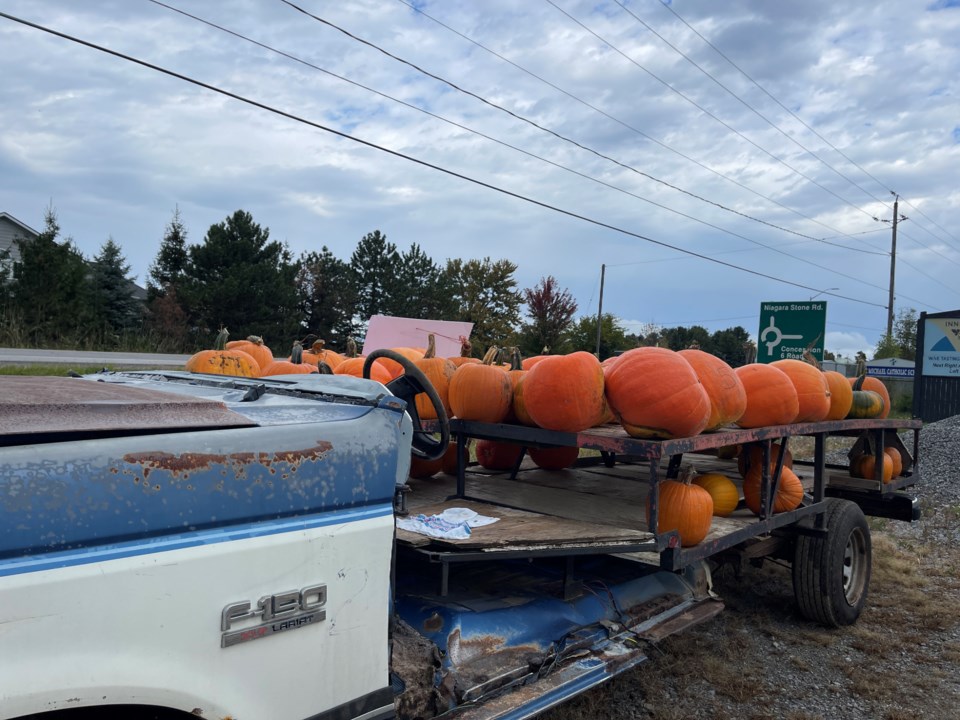 USED good-morning-oct-21-pumpkins-joy