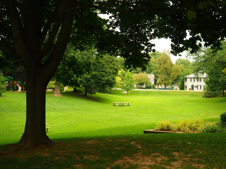 USED good-morning-view-from-simcoe-park-dave