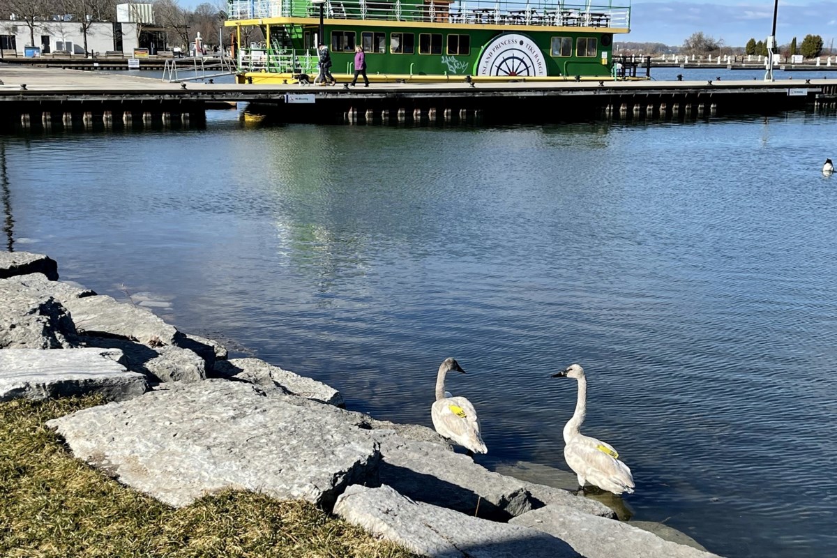 Good morning, Orillia! - Orillia News