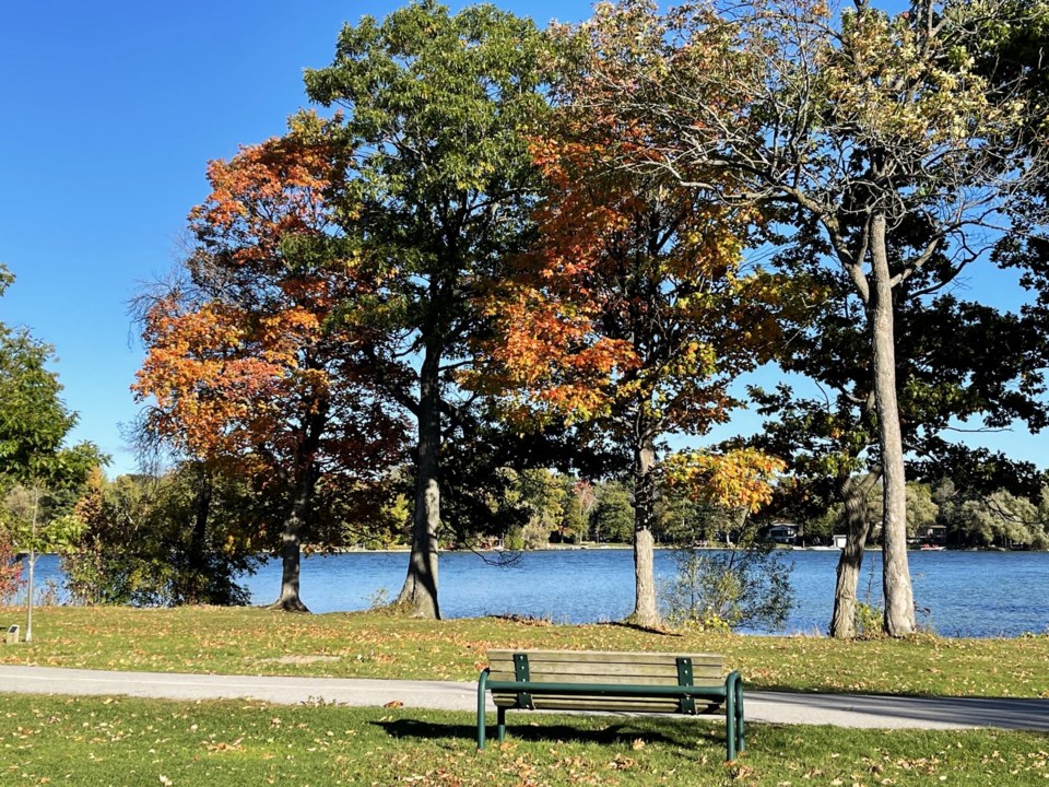 USED 2024-10-15-gm-fall-at-tudhope-bench