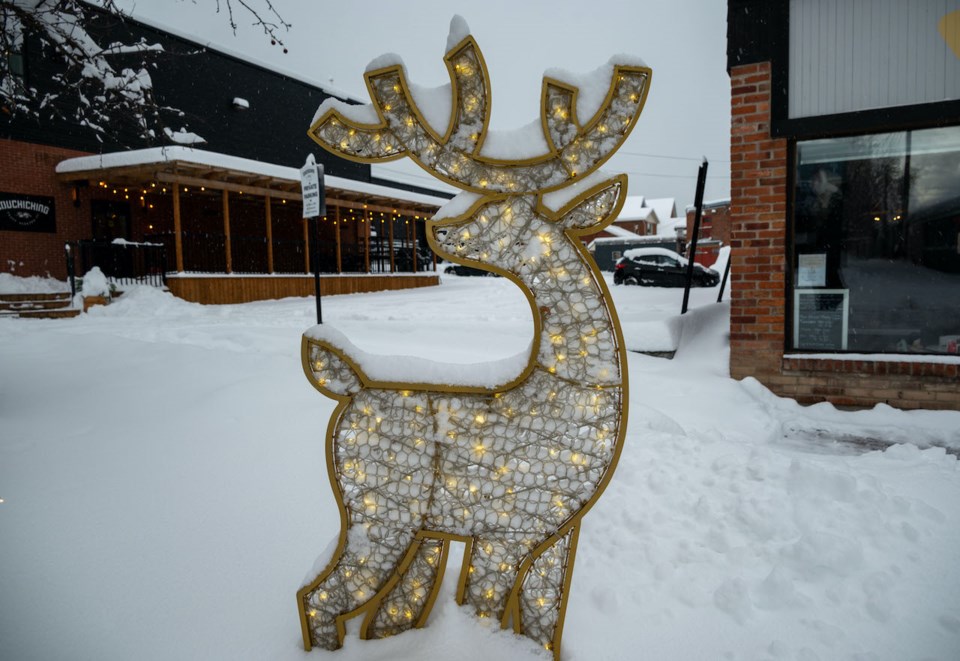 USED 2024-12-02-gm-reindeer-on-street-outside-cooch-brewery-tyler